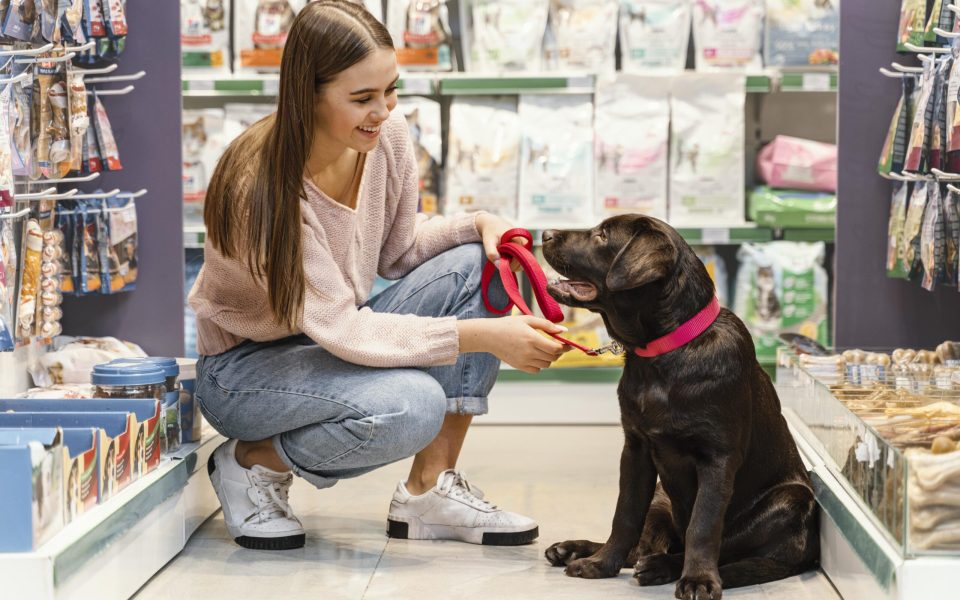 pet store